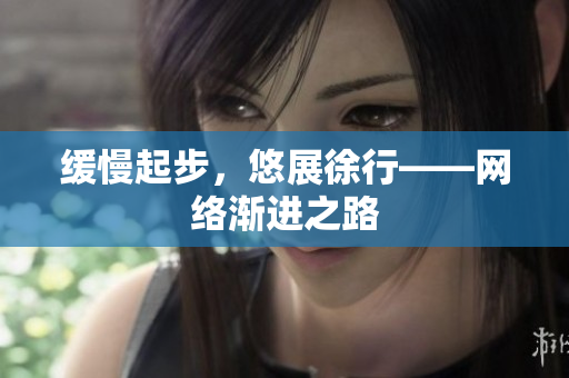 缓慢起步，悠展徐行——网络渐进之路