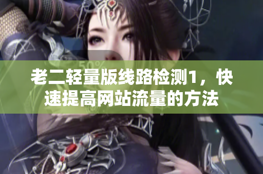 老二轻量版线路检测1，快速提高网站流量的方法