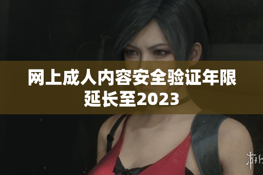 网上成人内容安全验证年限延长至2023