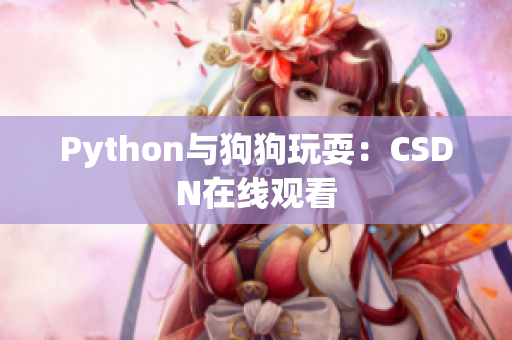 Python与狗狗玩耍：CSDN在线观看