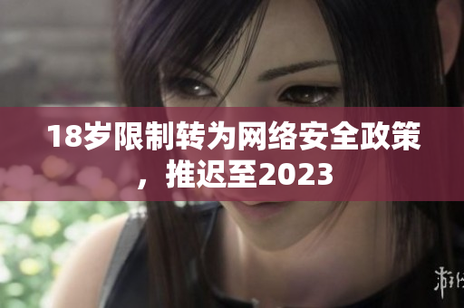 18岁限制转为网络安全政策，推迟至2023