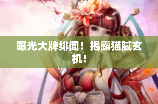 曝光大牌绯闻！揭露猫腻玄机！