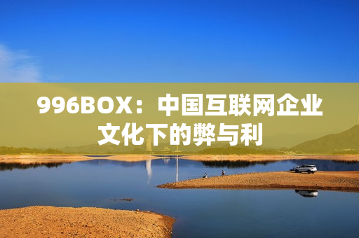 996BOX：中国互联网企业文化下的弊与利