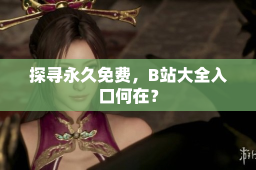 探寻永久免费，B站大全入口何在？