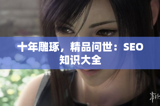 十年雕琢，精品问世：SEO知识大全