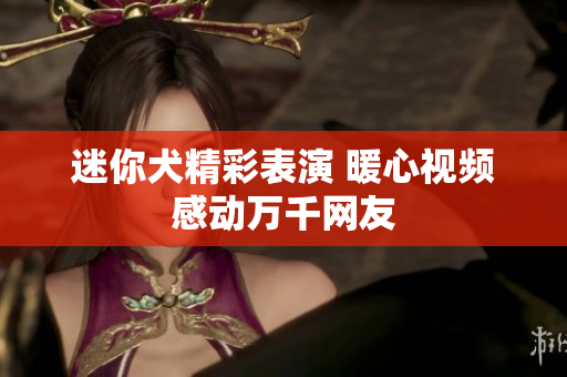 迷你犬精彩表演 暖心视频感动万千网友