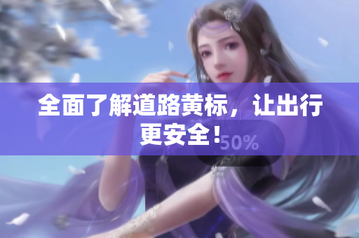 全面了解道路黄标，让出行更安全！