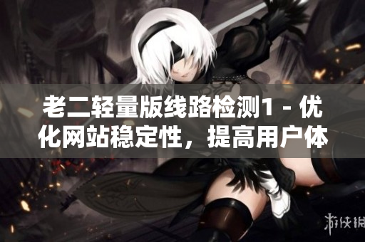 老二轻量版线路检测1 - 优化网站稳定性，提高用户体验