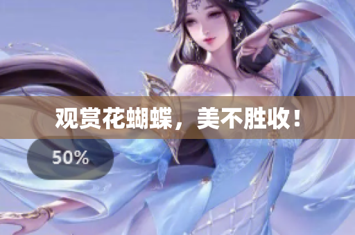 观赏花蝴蝶，美不胜收！