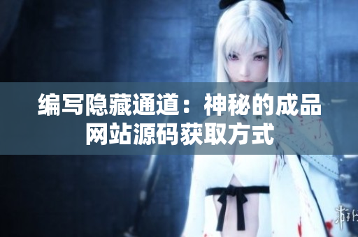 编写隐藏通道：神秘的成品网站源码获取方式