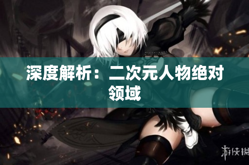 深度解析：二次元人物绝对领域