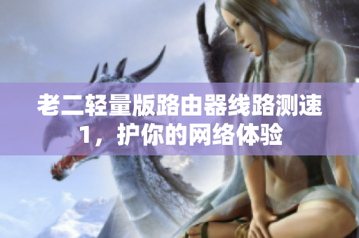 老二轻量版路由器线路测速1，护你的网络体验