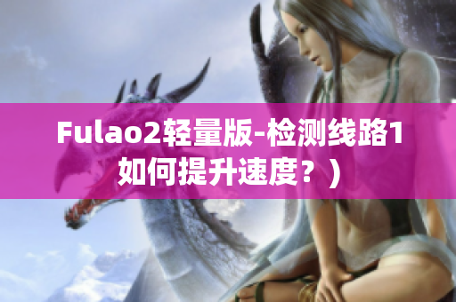 Fulao2轻量版-检测线路1如何提升速度？)
