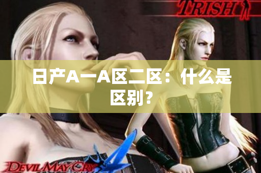 日产A一A区二区：什么是区别？