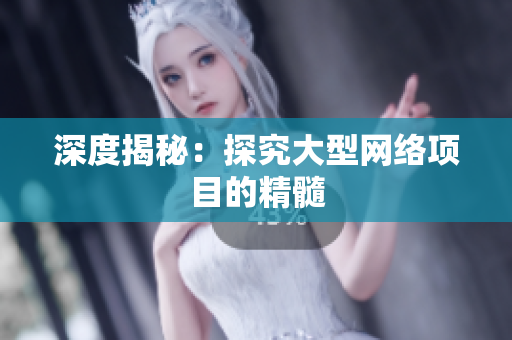 深度揭秘：探究大型网络项目的精髓
