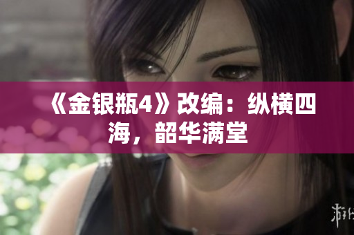 《金银瓶4》改编：纵横四海，韶华满堂