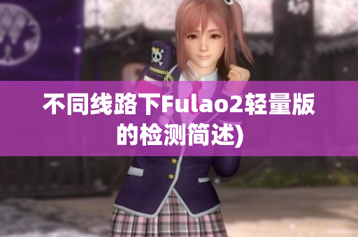 不同线路下Fulao2轻量版的检测简述)