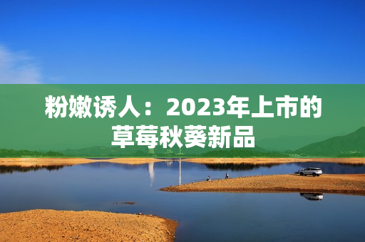 粉嫩诱人：2023年上市的草莓秋葵新品
