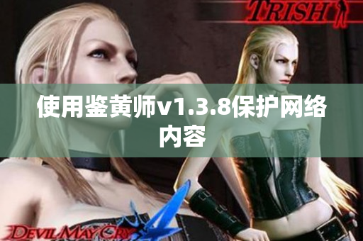 使用鉴黄师v1.3.8保护网络内容