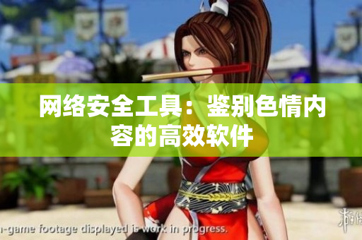 网络安全工具：鉴别色情内容的高效软件