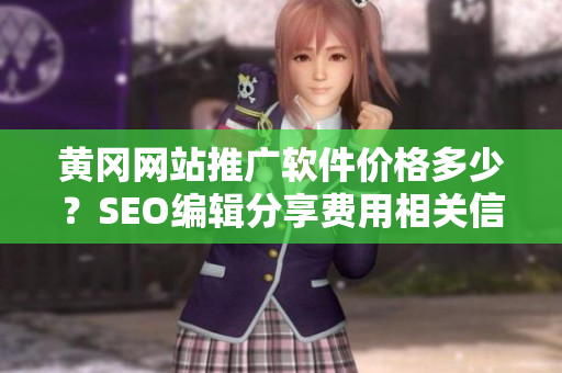 黄冈网站推广软件价格多少？SEO编辑分享费用相关信息