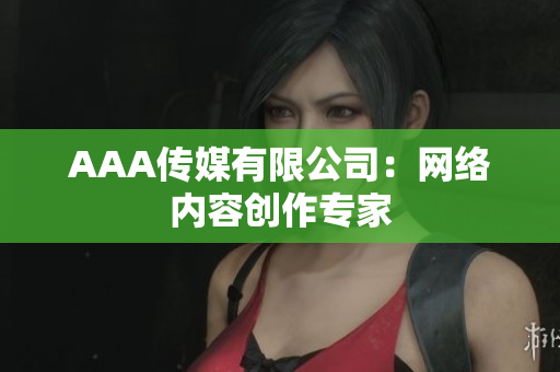 AAA传媒有限公司：网络内容创作专家