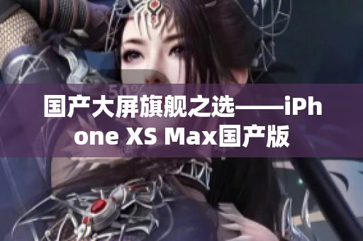 国产大屏旗舰之选——iPhone XS Max国产版