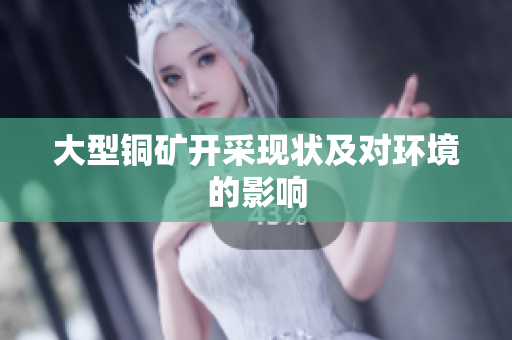 大型铜矿开采现状及对环境的影响