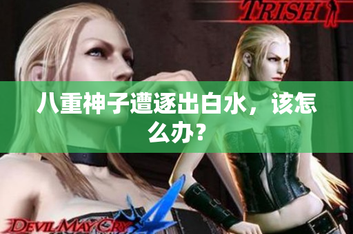 八重神子遭逐出白水，该怎么办？