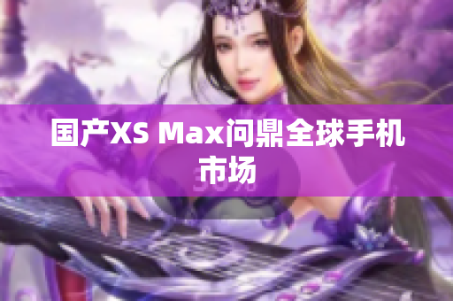 国产XS Max问鼎全球手机市场