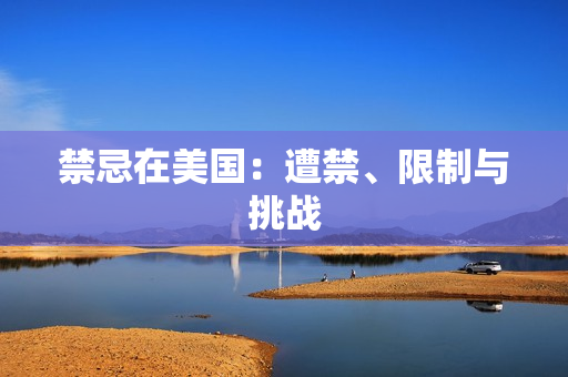 禁忌在美国：遭禁、限制与挑战