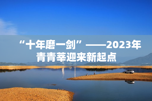 “十年磨一剑”——2023年青青莘迎来新起点