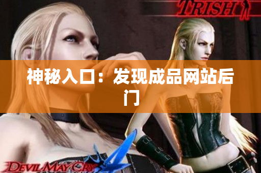 神秘入口：发现成品网站后门
