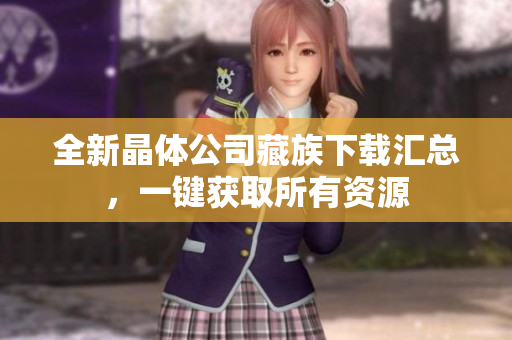 全新晶体公司藏族下载汇总，一键获取所有资源