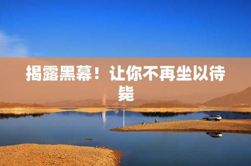 揭露黑幕！让你不再坐以待毙