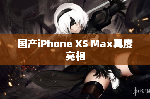 国产iPhone XS Max再度亮相