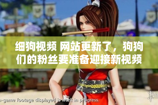 细狗视频 网站更新了，狗狗们的粉丝要准备迎接新视频啦！