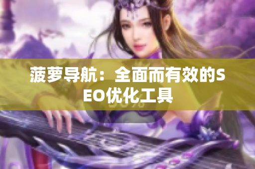 菠萝导航：全面而有效的SEO优化工具