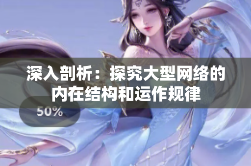 深入剖析：探究大型网络的内在结构和运作规律