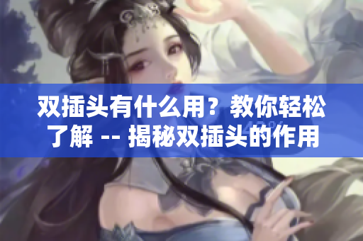 双插头有什么用？教你轻松了解 -- 揭秘双插头的作用，轻松了解使用方法