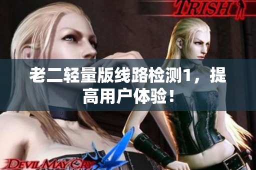 老二轻量版线路检测1，提高用户体验！