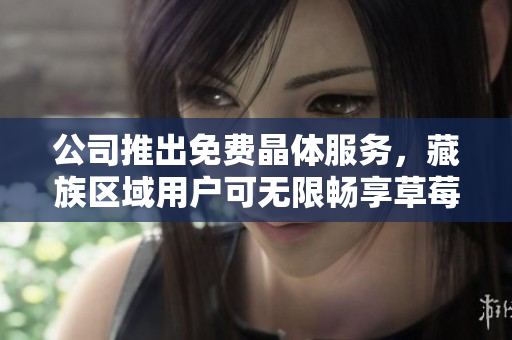 公司推出免费晶体服务，藏族区域用户可无限畅享草莓视频