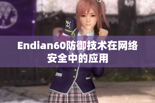 Endian60防御技术在网络安全中的应用