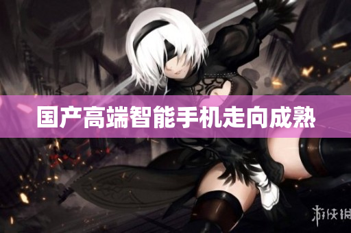 国产高端智能手机走向成熟
