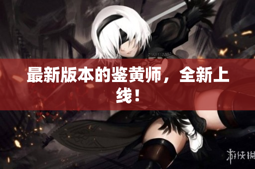 最新版本的鉴黄师，全新上线！