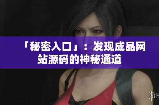 「秘密入口」：发现成品网站源码的神秘通道