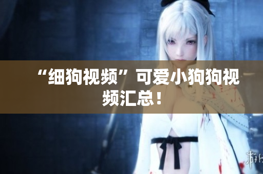 “细狗视频”可爱小狗狗视频汇总！