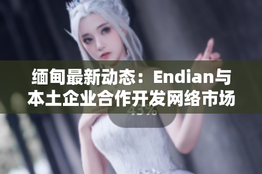 缅甸最新动态：Endian与本土企业合作开发网络市场
