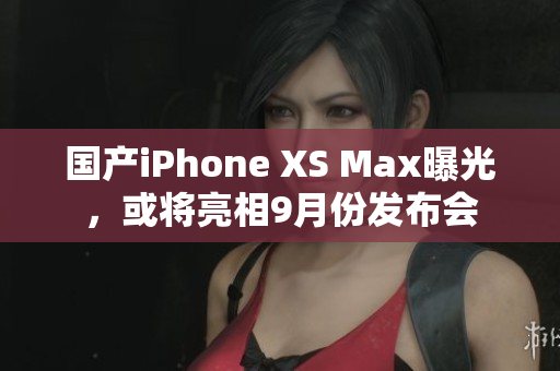 国产iPhone XS Max曝光，或将亮相9月份发布会