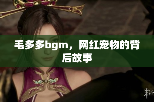 毛多多bgm，网红宠物的背后故事